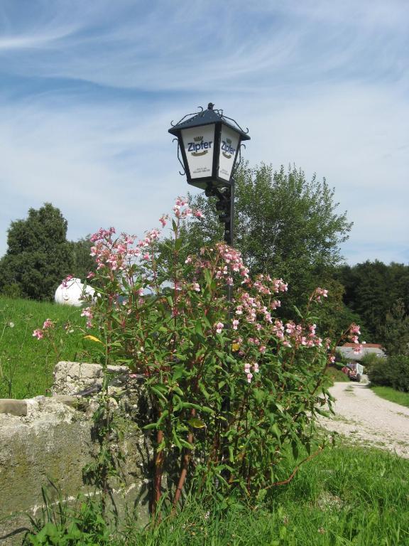 סנט גאורגן אים אטרגאו Gasthof Pension Steinberger מראה חיצוני תמונה